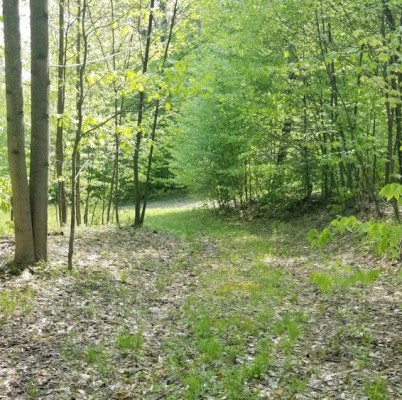 VL Forest Glen in Hinsdale For Sale By Owner